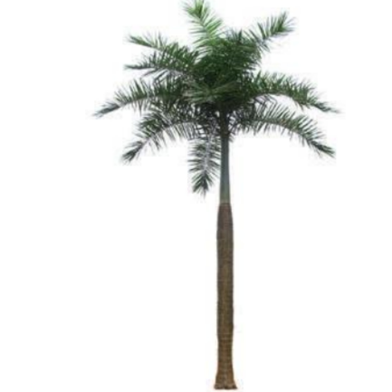 EsES Coco artificial de gran tamaño